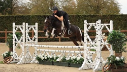 Jessy Bo Duke Other Breed Hunter photo 1