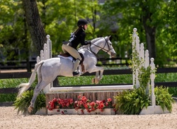 Cross Creek White Water Welsh Pony Hunter photo 1