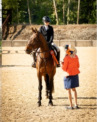 Jack Dutch Warmblood Equitation photo 2