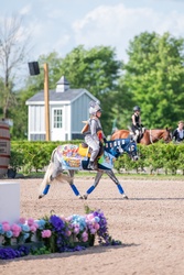 Stoneleigh Welsh Cross Hunter photo 4