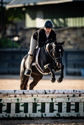 Stonegate Raindrop Welsh Pony Hunter photo 3