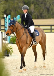 AVIATOR German Riding Pony Jumper photo 4