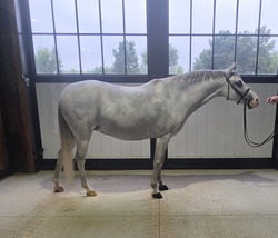 Fettuccine Welsh Cross Jumper photo 3