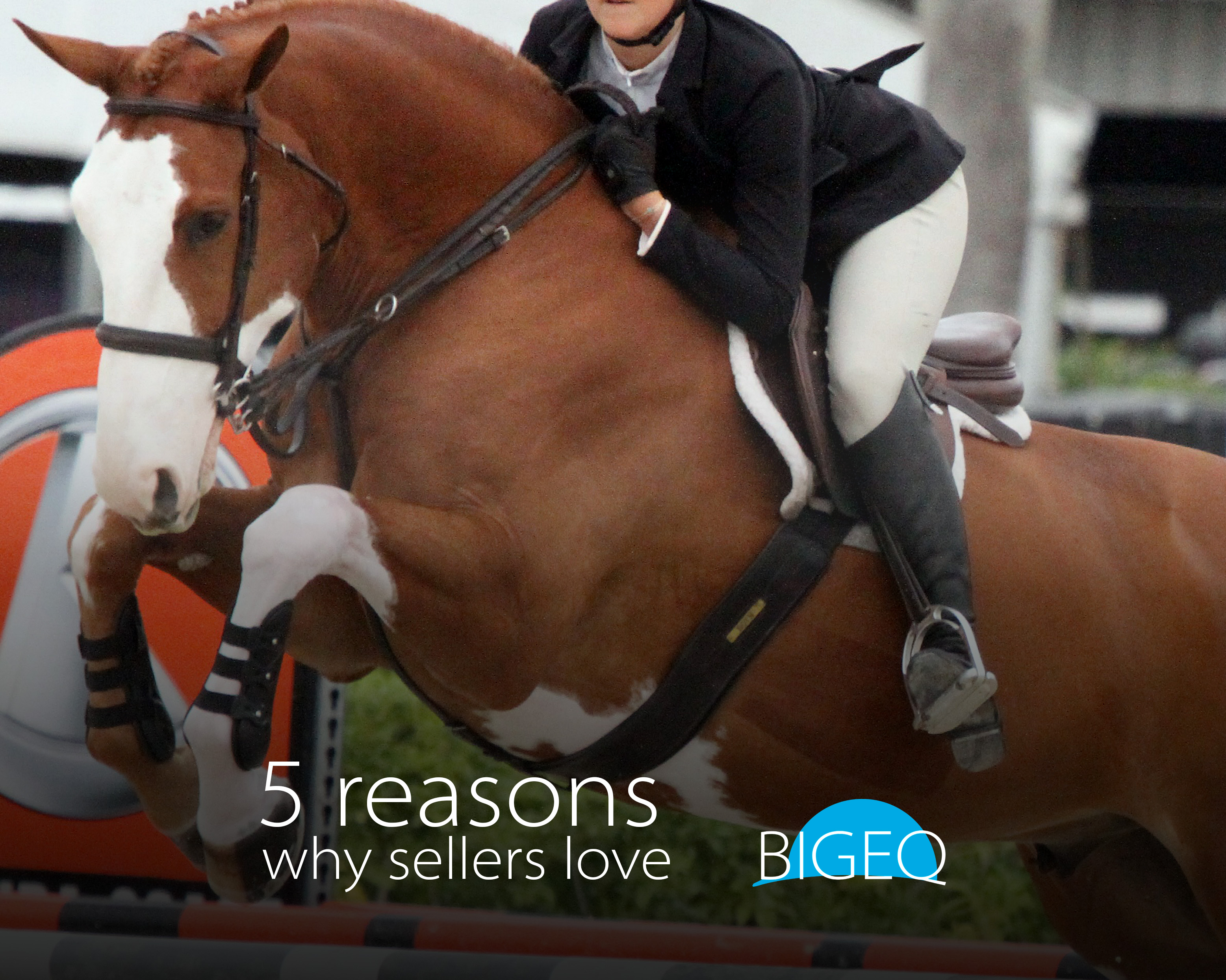 why sellers love BIGEQ
