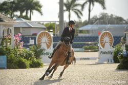 Delia B Dutch Warmblood Jumper photo 10