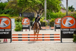 Spirit Welsh Cross Jumper photo 6
