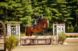 Kenzo Westphalian Hunter photo 3