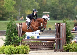Akari Van't Glemhof Z Dutch Warmblood Equitation photo 3