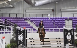 ORLANDO Dutch Warmblood Hunter photo 6