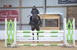 Rio Warmblood Jumper photo 1