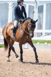 Primrose Oldenburg Jumper photo 6