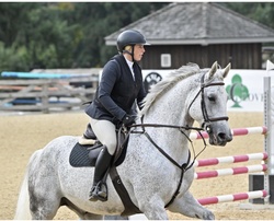 DAKITO P Hanoverian Jumper photo 8