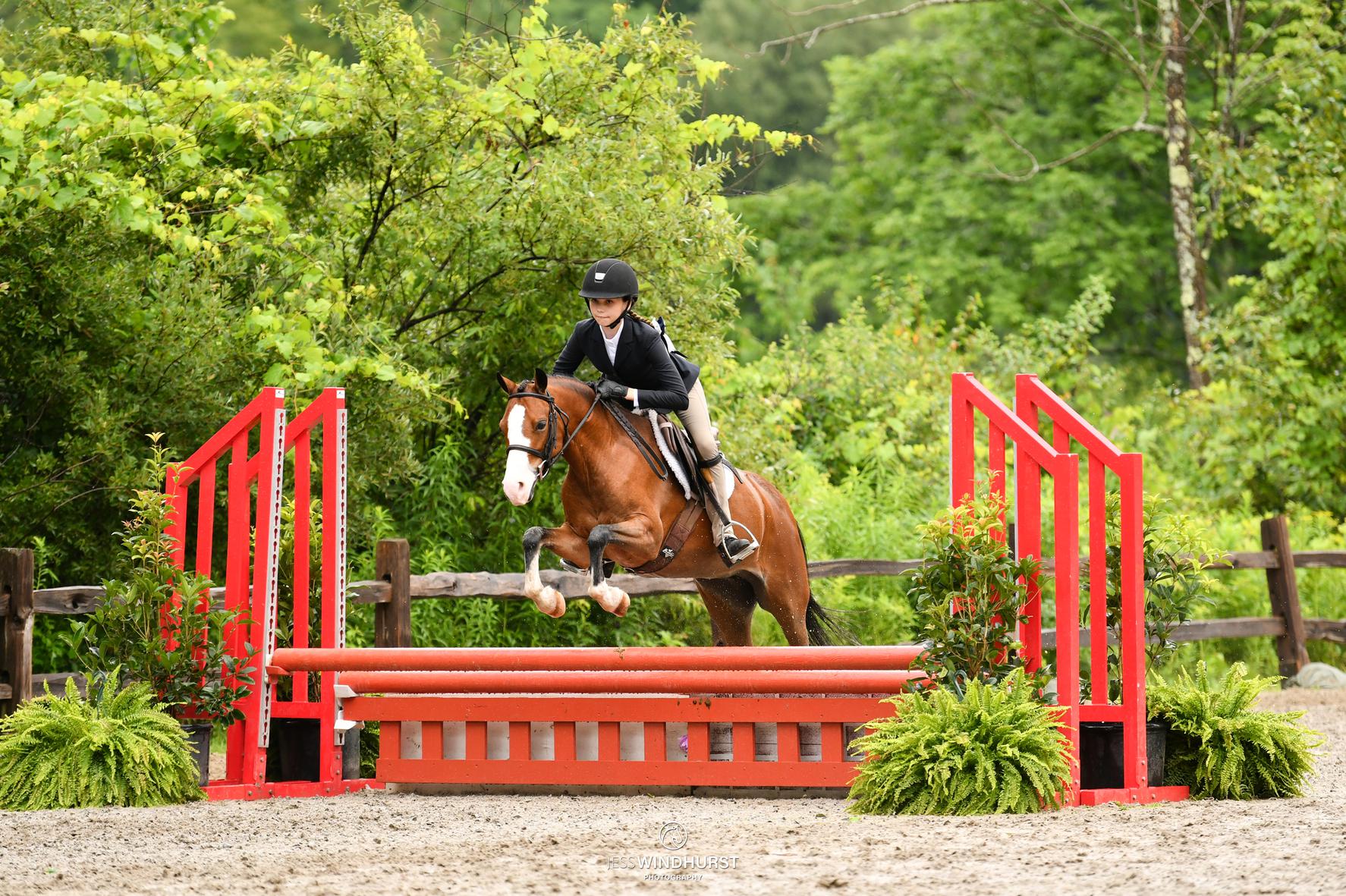 Bluegrass Belle Breezing