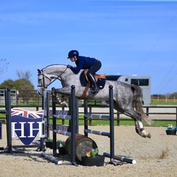 Chicaro S Warmblood Jumper photo 3
