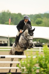 Sandro's Girl Westphalian Jumper photo 2
