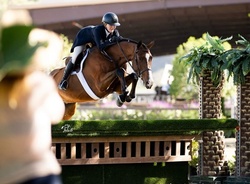 Billy Be Great Warmblood Hunter photo 1