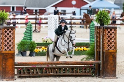 Pea Pod Welsh Pony Hunter photo 1