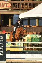 Delia B Dutch Warmblood Jumper photo 5