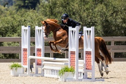 *Drogheda Animal Crackers Connemara Jumper photo 8