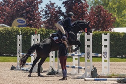Ophelia Warmblood Jumper photo 2