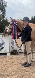 Goldilocks Welsh Pony Hunter photo 4