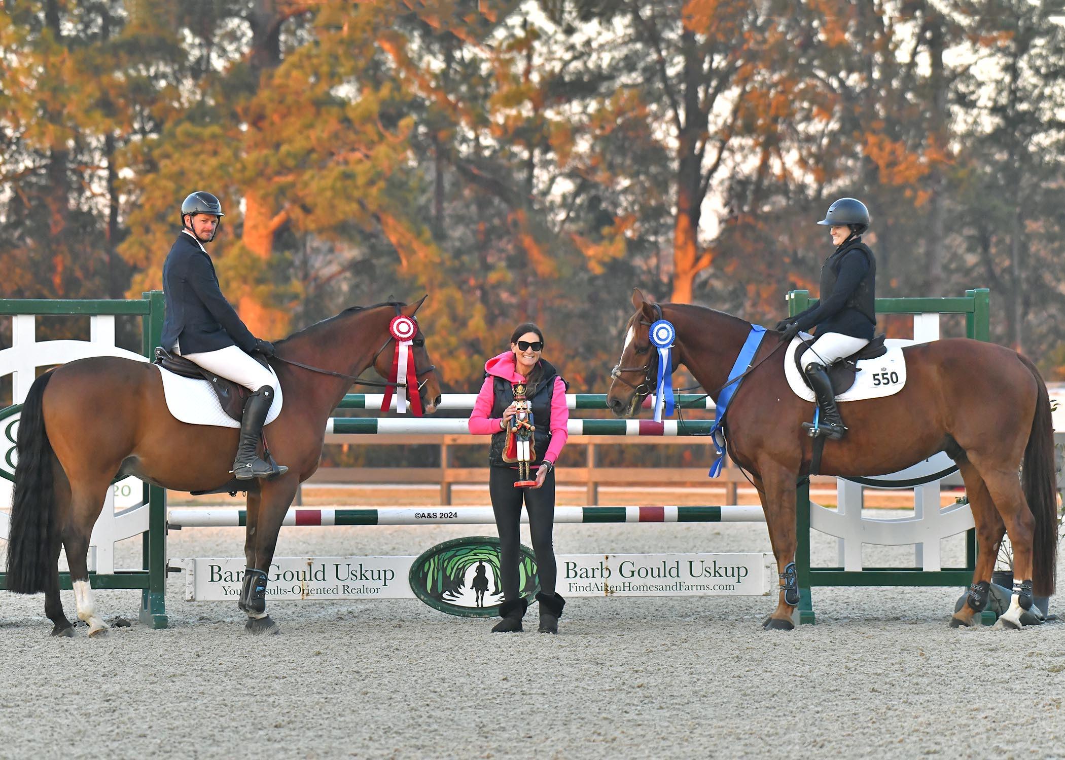 Koko Express Dutch Warmblood
