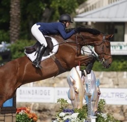Lui Hanoverian Jumper photo 3