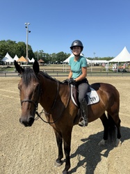 CMS Benevolent Warmblood Hunter photo 5