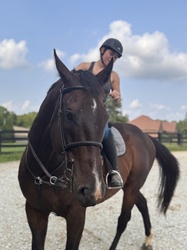 War Marshall TB Jumper photo 5