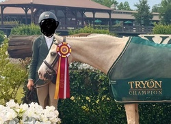 Arnaby Cassanova Welsh Cross Jumper photo 2