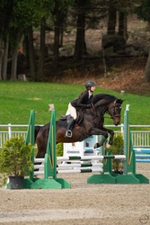 Rustic Canadian Warmblood Jumper photo 1