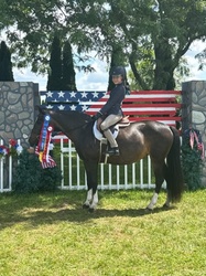 Oh Lo La Welsh Cross Hunter photo 2