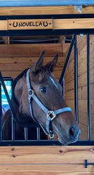 Novella Oldenburg Hunter photo 7