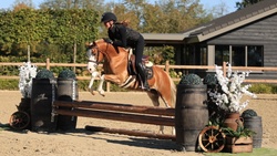 Joris van de Gaweg Other Breed Hunter photo 5