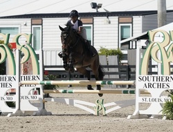 Ultrachic Warmblood Jumper photo 1