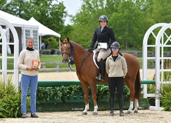 Lovestruck Welsh Pony Hunter photo 3