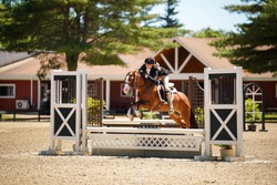 Belle Welsh Pony Jumper photo 3