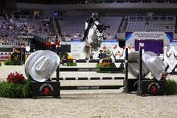 Berlin Zangersheide Jumper photo 3