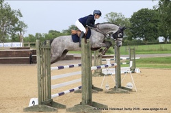 Chicaro S Warmblood Jumper photo 6
