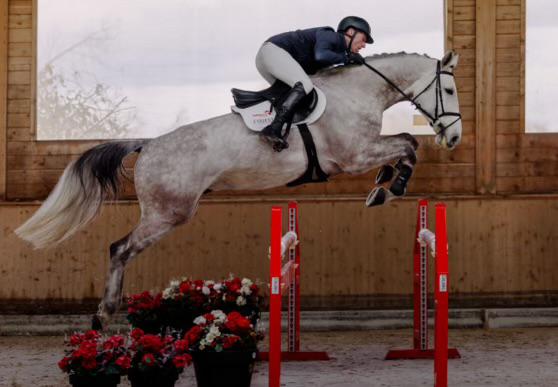 Casper Polt Oldenburg Jumper