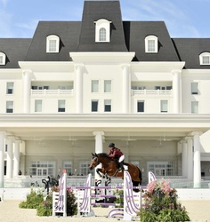 Dollar Del Colle Warmblood Jumper photo 5