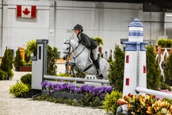 Val Welsh Cross Hunter photo 2