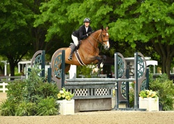 Rocsegreto aka “Greg" Oldenburg Jumper photo 5