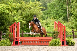 Belle Welsh Pony Jumper photo 5