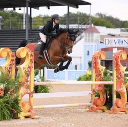 Jameson Irish Sport Horse Jumper photo 2