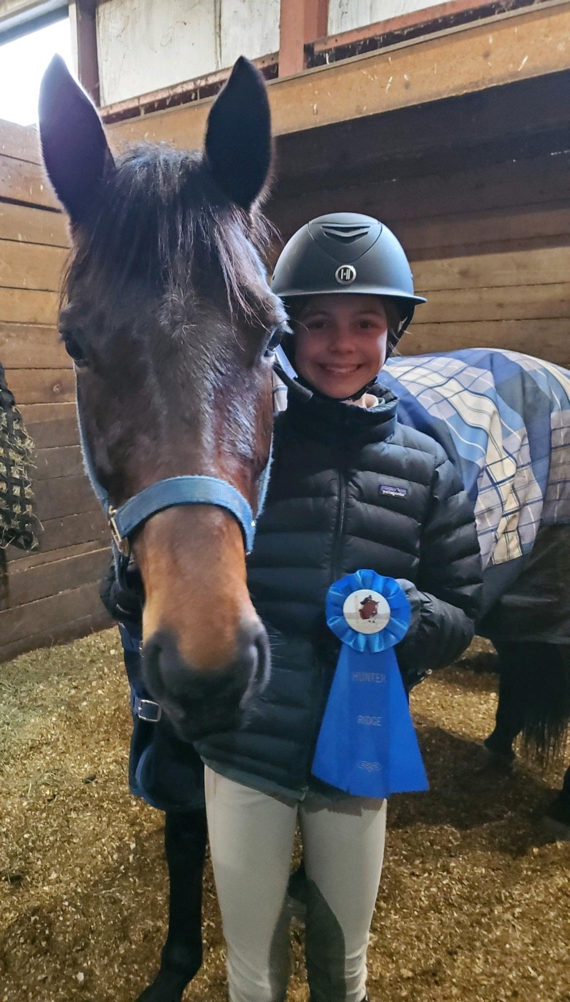 Riverside Quarter Horse Jumper