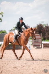 Dwyer Hanoverian Hunter photo 5