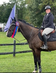 Magnus Zanzibar Warmblood Jumper photo 5
