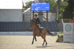 Delia B Dutch Warmblood Jumper photo 9