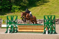 Athena Canadian Warmblood Hunter photo 2